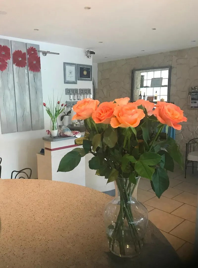 ** Hotel Hôtel Le Méditerranée Hyères France